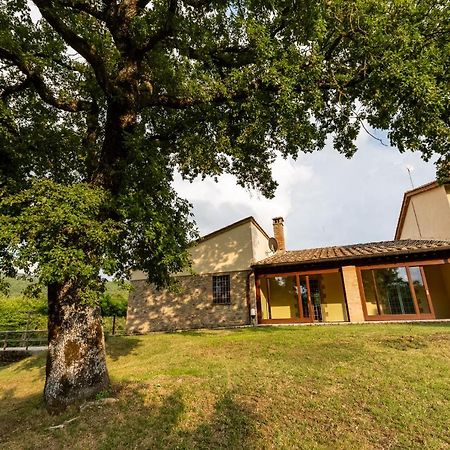 Villa Casa Gabry Sarteano Esterno foto